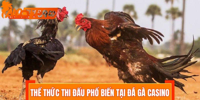 Các thể thức thi đấu phổ biến tại đá gà casino