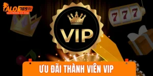 Ưu đãi thành viên VIP